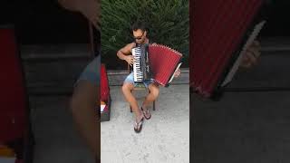 Lultimo dei mohicani  On Accordion [upl. by Walkling428]