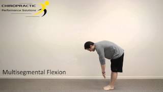 SFMA Multisegmental Flexion [upl. by Adnilab530]