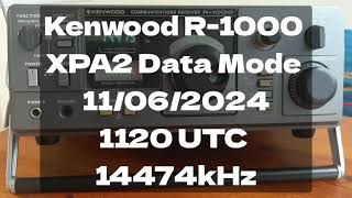 Kenwood R1000 XPA2 Data Mode 11062024 1120 UTC 14474kHz [upl. by Hamrah]