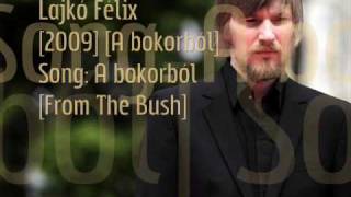 Lajko Felix  track09  A Bokorbol  From The Bush [upl. by Hazeefah]