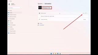 Windows 11 Pro Activation Check [upl. by Eilrahc]