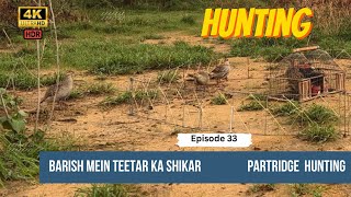 Barish Mein Shikar 👍 Teetar 💞 Francolin ♥️ Partridge 💗 Hunting ❣️ Awaaz 📣 Boli Episode 33 [upl. by Atarman56]