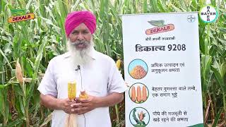 Corn Hybrid Seeds Virtual Field Day on Dekalb 9208  Bayer Crop Science India [upl. by Anita]