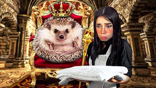 LE HICE UNA MANSIÓN A MI ERIZO 🦔 [upl. by Retsevlis151]