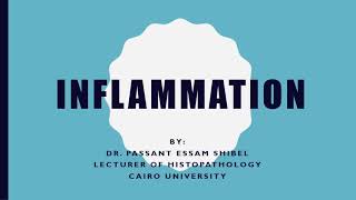 INFLAMMATION 2 [upl. by Kania]