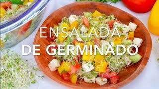 ENSALADA DE GERMINADO saludable amp deliciosa  Recetas fáciles Pizca de Sabor [upl. by Giraldo]