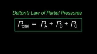 Daltons Law of Partial Pressures Explained [upl. by Youlton]