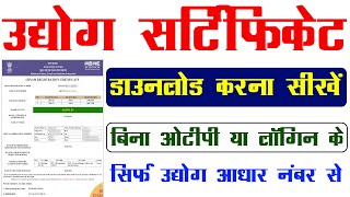 Udyog Aadhar Certificate Kaise Download Karen 2024  MSME certificate download kaise kare [upl. by Zinck]