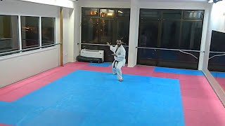 Bassai Dai Shotokai Egami Ryu Karate Union [upl. by Haukom]