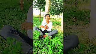 sar dille me kutta bimar hai rajstar comedy shortvideo [upl. by Ahsat]