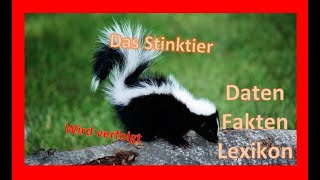 Das Stinktier [upl. by Mark]