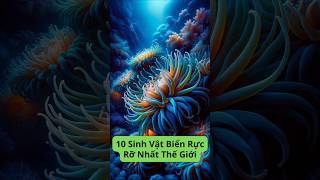 10 Sinh vật biển rực rỡ nhất thế giới [upl. by Stricklan760]