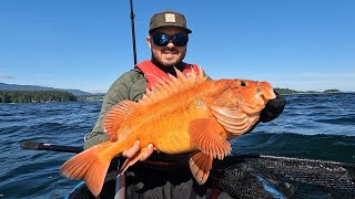 Rockfish Season May 2024 [upl. by Kimura]