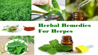 Best Treatment For Herpes With Organic Home Remedies Natural Cure For Herpes [upl. by Etnauj]