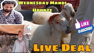 Wednesday Update  Lahore Bakra Mandi  Shahpurkanjra  Live Deal  Acha Soda  wednesdayupdate [upl. by Eipper557]