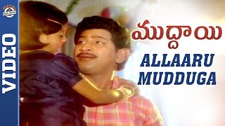 Super Star Krishnas Muddayi Movie Songs  Allaaru Mudduga Video Song  Vijayashanthi  Radha  MPP [upl. by Urbanus801]