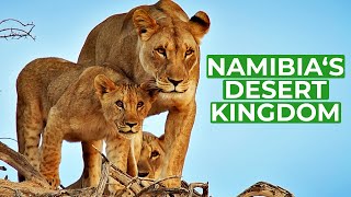 Namibia  Animal Kingdom in the Desert  Free Documentary Nature [upl. by Garratt]