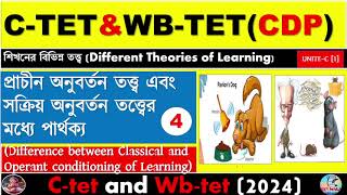 Different Between Classical And Operant Congratulations theoryLearning TheoryCtet And Wbtet [upl. by Carrington776]