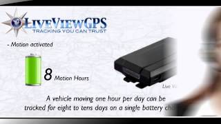 LiveView GPS PT10 GPS Tracker [upl. by Ariet566]