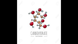 CARBOHYDRATES chemistry شرح بالعربي [upl. by Glassco759]