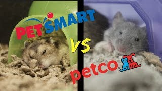 PETSMART vs PETCO  Who has better SMALL ANIMAL care [upl. by Tania]