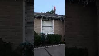 More christmas lights installation on roof [upl. by Aicetel]