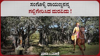 ಸಂಗೊಳ್ಳಿ ರಾಯಣ್ಣನನ್ನ ಗಲ್ಲಿಗೇರಿಸಿದ ಮರವಿದು   Sangolli Rayanna Hanging Place [upl. by Milena]