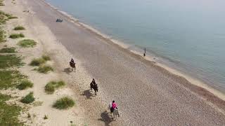 Pakefield Beach Horse Ride [upl. by Lennaj]