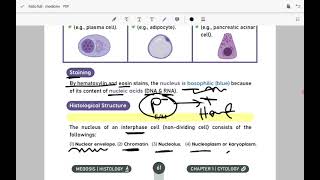 histology 18 cytology  nucleus [upl. by Lais]