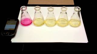 Hydrolysis of tButylChloride Kinetics Experiment 5 SN1 Reaction [upl. by Aneehs452]