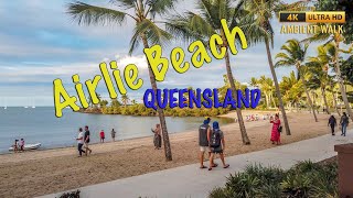 Beautiful Airlie Beach Whitsundays  4K Ambient Walk late in the day [upl. by Shena]