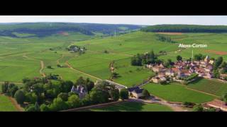 Le vignoble de Bourgogne vu du ciel  Sur la route des Grands Crus [upl. by Alwin395]