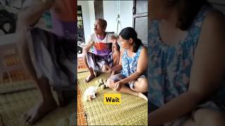 Kaya banana Diya😆😄shorts shortvideo funnyvideo funny [upl. by Rolph]