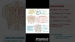 Auscultation Nursingeducationland auscultationheartnursingsoundslungsstethoscopebreathing [upl. by Bresee]