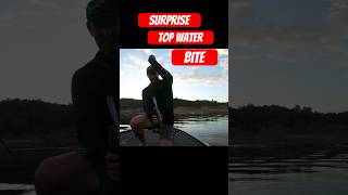 Reaction Innovations Vixen is a killer in the fall fishing gopro subscribe dobynsrods trending [upl. by Mill]