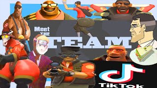 Meet the Team TikTok Edition [upl. by Enaols733]