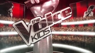 THE VOICE KIDS 3  PRZESŁUCHANIA W CIEMNO Skrót najlepszych występów [upl. by Ahsinek641]