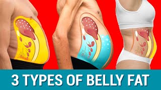 The 3 Belly Types WHICH ONE DO YOU HAVE [upl. by Anyaled]