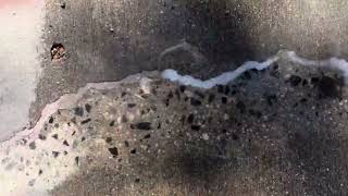 The Original Concrete Crack Filler Magic Crack [upl. by Clymer107]