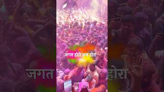 Jagat Hori Braj Hora vrindavan radhavallabh bhajan holi [upl. by Cuttie]