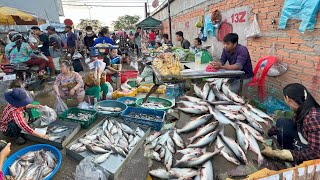 Cambodian Early Morning Fish Market Tours  Lifestyle of Activities Of Khmer People In Fish Market [upl. by Haikezeh488]