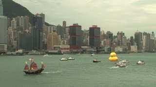 Un canard de bain géant sinstalle dans le port de Hong Kong [upl. by Stickney]