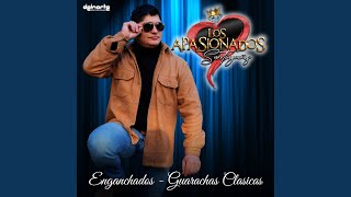 Enganchados  Guarachas Clasicas En Vivo [upl. by Eelyrehc648]