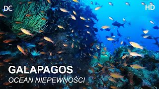 GALAPAGOS  Na Krańcu Świata  Ocean Niepewności  Film DokumentalnoPrzyrodniczy  Polski Lektor [upl. by Rebna]