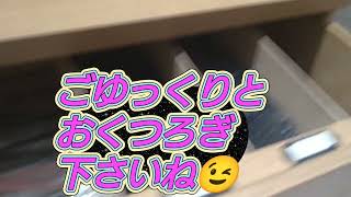 南紀白浜 【ホテルシーモア】さんにて🤗 撮影許可を貰って撮影しました、投稿の許可も貰ってます🤗 [upl. by Aneeram]