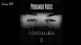 Cosculluela  Probando Voces 12 y 3 Tiraera Mix Link De Descarga [upl. by Dario704]