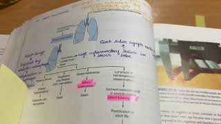 Mycobacteria and Gram Negative RodsSpecial Bacteriology [upl. by Hosbein]