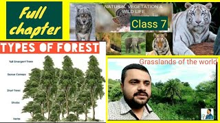 Natural vegetation and wildlife  Class 7  Chapter 6  Geography [upl. by Einatirb]