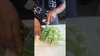 SLICING LETTUCE INTO SMALL SIZE short utubeshort satisfying [upl. by Eldwun]