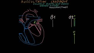 Auscultation cardiaque Souffles cardiaques bruits Partie 2 [upl. by Akieluz472]